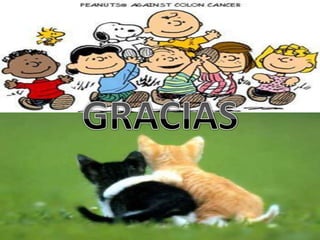 GRACIAS