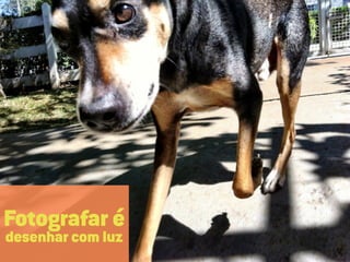 Fotografar é
desenhar com luz
 