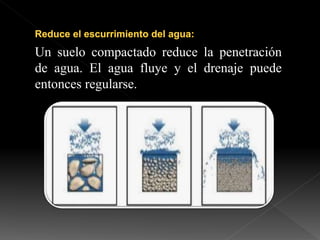 Un suelo compactado reduce la penetración
de agua. El agua fluye y el drenaje puede
entonces regularse.
 