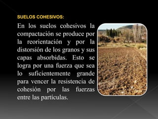 En los suelos cohesivos la
compactación se produce por
la reorientación y por la
distorsión de los granos y sus
capas absorbidas. Esto se
logra por una fuerza que sea
lo suficientemente grande
para vencer la resistencia de
cohesión por las fuerzas
entre las partículas.
 