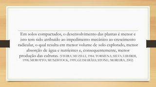 Em solos compactados, o desenvolvimento das plantas é menor e
isto tem sido atribuído ao impedimento mecânico ao crescimento
radicular, o qual resulta em menor volume de solo explorado, menor
absorção de água e nutrientes e, consequentemente, menor
produção das culturas. (VIEIRA; MUZILLI, 1984; TORMENA; SILVA; LIBARDI,
1998; MEROTTO; MUNDSTOCK, 1999; GUIMARÃES; STONE; MOREIRA, 2002)
 