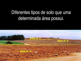 Diferentes tipos de solo que uma 
determinada área possui. 
 
