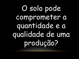 O solo pode 
comprometer a 
quantidade e a 
qualidade de uma 
produção? 
 