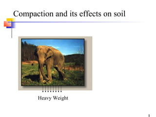 Compaction and its effects on soil




       Heavy Weight
 