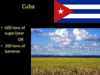 Cuba
• 600 tons of
sugar/year
OR
• 200 tons of
bananas
 
