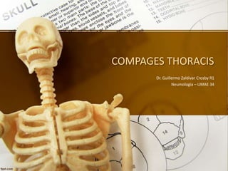 COMPAGES THORACIS
Dr. Guillermo Zaldivar Crosby R1
Neumologia – UMAE 34
 
