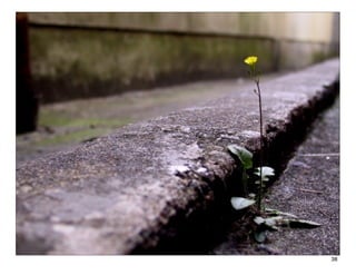 PRÉSENTATION




               38
 