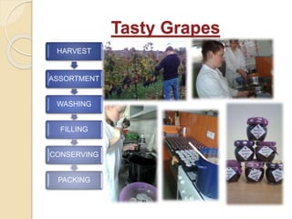 Tasty Grapes
HARVEST
ASSORTMENT
WASHING
FILLING
CONSERVING
PACKING
 