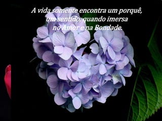A vida somente encontra um porquê, 
um sentido, quando imersa 
no Amor e na Bondade. 
 