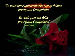 “Se você quer que os outros sejam felizes, 
pratique a Compaixão. 
Se você quer ser feliz, 
pratique a Compaixão.” 
Dalai Lama 
 
