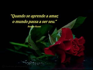 “Quando se aprende a amar, 
o mundo passa a ser seu.” 
Renato Russo 
 