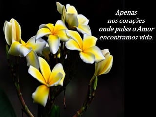 Apenas 
nos corações 
onde pulsa o Amor 
encontramos vida. 
 