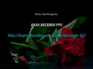 Texto: Um Peregrino 
PARA RECEBER PPS: 
http://br.groups.yahoo.com/group/Rastro_de_Sol/ 
Lupy 
