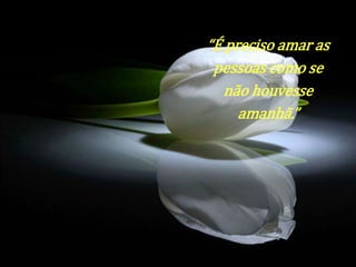 “É preciso amar as 
pessoas como se 
não houvesse 
amanhã.” 
 