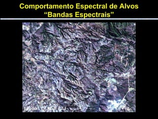 Comportamento Espectral de Alvos “ Bandas Espectrais” Landsat 7 – Banda 1 Landsat 7 – Banda 2 Landsat 7 – Banda 3 Landsat 7 – Banda 4 Landsat 7 – Banda 5 Landsat 7 – Banda 7 Landsat 7 – RGB 4,5,3 Landsat 7 – RGB 5,4,3 Landsat 7 – RGB 5,4,7 Landsat 7 – RGB 3,2,1 