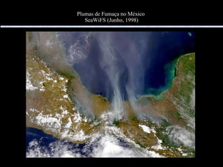 Plumas de Fumaça no México  SeaWiFS (Junho, 1998) 