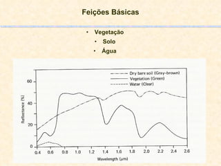 Feições Básicas Vegetação Solo Água 