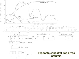 Resposta espectral dos alvos naturais 