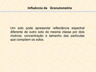 Influência da  Granulometria Um solo pode apresentar reflectância espectral diferente de outro solo da mesma classe por dois motivos: concentração e tamanho das partículas que compõem os solos.  
