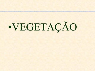 VEGETAÇÃO 