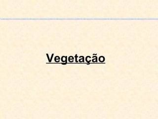 Vegetação 