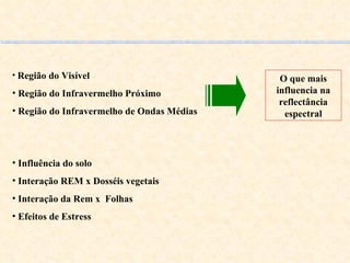 Região do Visível Região do Infravermelho Próximo Região do Infravermelho de Ondas Médias O que mais influencia na reflectância espectral Influência do solo Interação REM x Dosséis vegetais Interação da Rem x  Folhas Efeitos de Estress 