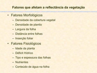 Fatores que afetam a reflectância da vegetação Fatores Morfológicos Densidade da cobertura vegetal  Densidade de plantio Largura da folha Distância entre folhas Inserção foliar Fatores Fisiológicos Idade da planta Déficit Hídrico Tipo e espessura das folhas Nutrientes Conteúdo de água na folha 