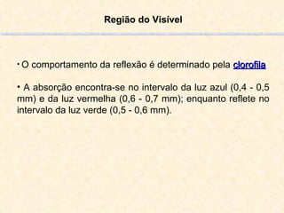 Região do Visível O comportamento da reflexão é determinado pela  clorofila A absorção encontra-se no intervalo da luz azul (0,4 - 0,5 mm) e da luz vermelha (0,6 - 0,7 mm); enquanto reflete no intervalo da luz verde (0,5 - 0,6 mm). 