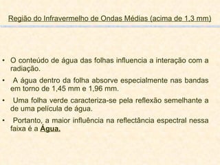 Região do Infravermelho de Ondas Médias (acima de 1,3 mm) O conteúdo de água das folhas influencia a interação com a radiação. A água dentro da folha absorve especialmente nas bandas em torno de 1,45 mm e 1,96 mm. Uma folha verde caracteriza-se pela reflexão semelhante a de uma película de água. Portanto, a maior influência na reflectância espectral nessa faixa é a  Água. 