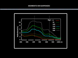 SEDIMENTO EM SUSPENSÃO 400  500  600  700  800  900  1000 nm  0 35 105 210 350 590 0 2 4 6 8 10 Mg/L Reflectância(%) 