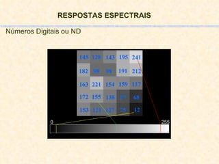 RESPOSTAS ESPECTRAIS   Números Digitais ou ND 