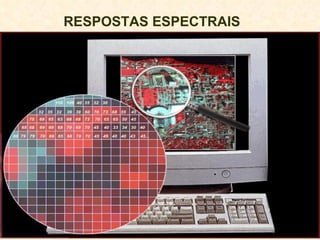 RESPOSTAS ESPECTRAIS   