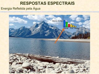 RESPOSTAS ESPECTRAIS   Energia Refletida pela Água 