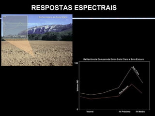RESPOSTAS ESPECTRAIS   