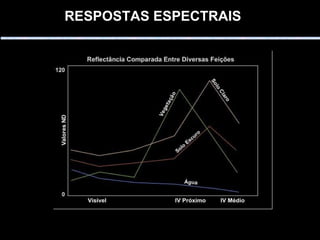 RESPOSTAS ESPECTRAIS   