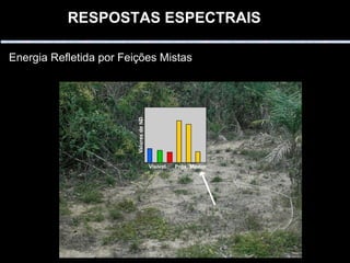 RESPOSTAS ESPECTRAIS   Energia Refletida por Feições Mistas 