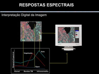 RESPOSTAS ESPECTRAIS   Interpretação Digital da Imagem 