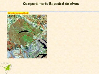 Comportamento Espectral de Alvos Brasilia National Park Landsat TM 