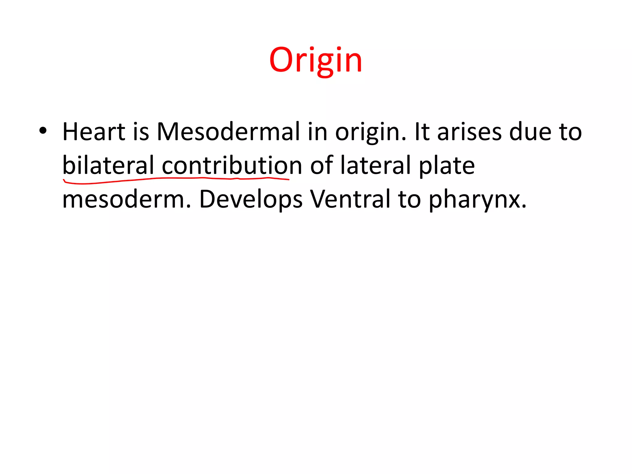 Mesodermal Heart Comp anatomy of heart | PDF