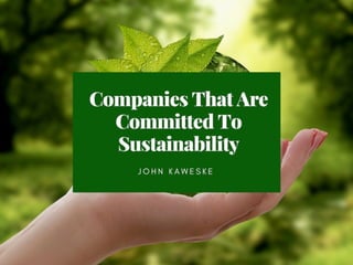 Companies That Are Committed To Sustainability 