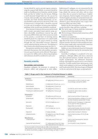 GIT disease in rabbits (2) | PDF