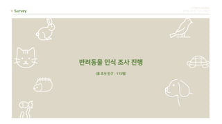반려동물 인식 조사 진행
(총 조사 인구 : 115명)
Survey
디지털미디어컨텐츠
류한솔 장민주 차유나 한유진
 