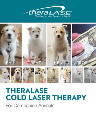Healing at the Speed of Light




PAIN     TREAT             HEAL             PROFIT




THERALASE
COLD LASER THERAPY
For Companion Animals
 