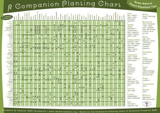 nion Planting Chart
                                                                                                                                                                                                                                                                                                                                                                                                                                                                                                                                                                                                                         Som

            Compa
                                                                                                                                                                                                                                                                                                                                                                                                                                                                                                                                                                                                                  In          e N at u ra l
                                                                                                                                                                                                                                                                                                                                                                                                                                                                                                                                                                                                                       sec
          A                                                                                                                                                                                                                                                                                                                                                                                                                                                                                                                                                                                                                t Re p e l l a n t T i p s




                                                                                                                                             Brussell Sprouts
                                                                                                Climbing Beans




                                                                                                                                                                                                                                                   Coriander/Dill




                                                                                                                                                                                                                                                                                                                                                                                                                                                                                                                                                      Stinging Nettle
                                                                     Broad Beans
                                                                                                                                                                                                                                                                                                                                                                                                                                                                                                                                                                                                                Ants




                                                                                   Bush Beans




                                                                                                                                                                           Chamomile


                                                                                                                                                                                                 Cauliﬂower




                                                                                                                                                                                                                                                                                                                                                                                                                     Pennyroyal
                                                                                                                                                                                                                                                                                                                                                                              Nasturtium
                                                                                                                                                                                                                                                                                                                                 Grape Vine
                                                                                                                                                                                                                                                                                                                                                                                                                                                                                                                                                                                                                                       Mildew




                                                                                                                                                                                                                                                                                                                                                                                                                                                                                                                                         Strawberry
                                         Asparagus




                                                                                                                                                                                                                                                                                                          Fruit Trees
                                                                                                                                                                                                                                                                           Cucumber




                                                                                                                                                                                                                                                                                                                                                                                                                                                                Rosemary




                                                                                                                                                                                                                                                                                                                                                                                                                                                                                                                                                                        Sunﬂower
                                                                                                                                                                Cabbages




                                                                                                                                                                                                                                                                                                                                                                                                                                                                                                         Silverbeet
                                                                                                                                                                                                                                                                                                                                                                                                                                                                                                                                                                                                                Mint • Catmint •




                                                                                                                                                                                                                                                                                                                                                        Marjoram
                                                                                                                                                                                                                                                                                                                                                                   Mulberry




                                                                                                                                                                                                                                                                                                                                                                                                                                  Potatoes
                                                                                                                                                                                                                                                                                                                                                                                                                                             Pumpkin
                                                                                                                                                                                                                                                                                               Marigold




                                                                                                                                                                                                                                                                                                                                                                                                                                                                                                                                                                                                     Zucchini
                                                                                                                                  Broccoli
         panion




                                                                                                                                                                                                                                                                                                                                                                                                                                                                                                                      Spinach
                                                                                                                                                                                                                                                                                                                                                                                                                                                                                                                                                                                                                                       Chives • Dried Sage




                                                                                                                                                                                                                                                                                                                                                                                                                                                                                                                                Squash
                                                                                                                                                                                                                                                                                                                                                                                                    Parsley
                                                                                                                                                                                       Carrots




                                                                                                                                                                                                                                                                                                                                              Lettuce




                                                                                                                                                                                                                                                                                                                                                                                                                                                                                                                                                                                   Tomato
                               Apricot




                                                                                                                                                                                                                                                                                                                                                                                           Onions
                                                                                                                                                                                                                                Chervil
J= com istic




                                                                                                                                                                                                                                                                                                                                                                                                                                                       Radish




                                                                                                                                                                                                                                                                                                                                                                                                                                                                                                Savory




                                                                                                                                                                                                                                                                                                                                                                                                                                                                                                                                                                                            Yarrow
                                                                                                                                                                                                                                          Chives
                                                                                                                                                                                                                       Cherry




                                                                                                                                                                                                                                                                                      Fennel
                                                                                                                         Borage




                                                                                                                                                                                                              Celery
                                                             Beans




                                                                                                                                                                                                                                                                                                                                                                                                                                                                           Roses
                                                                                                                                                                                                                                                                                                                                                                                                                                                                                                                                                                                                                Tansy • Garlic •




                                                                                                                                                                                                                                                                                                                        Garlic
                       Apple




                                                                                                                 Beets
                                                     Basil




                                                                                                                                                                                                                                                                                                                                                                                                                                                                                         Sage
                                                                                                                                                                                                                                                                                                                                                                                                              Peas
                                                                                                                                                                                                                                                                    Corn
        gon                                                                                                                                                                                                                                                                                                                                                                                                                                                                                                                                                                                                                            • Nettle •
X = anta




                                                                                                                                                                                                                                                                                                                                                                                                                                                                                   Rue
                                                                                                                                                                                                                                                                                                                                                                                                                                                                                                                                                                                                                Pennyroyal •
                                                                                                                                                                                                                                                                                                                                                                                                                                                                                                                                                                                                                                       •
            Apricot                                   �                                                                                                                                                                                                                                         �                        �                                                     �                                                                                                                                      �                                � � � �                                                  Spearmint •
                                                                                                                                                                                                                                                                                                                                                                                                                                                                                                                                                                                                                                       Mosquitoes
        Asparagus                                     �                                                                                                                                                                                                                                                                                                  �                                           �                                                                                                                                                     �                                                    •
                                                                                                                                                                                                                                                                                                                                                                                                                                                                                                                                                                                                                                       Tansy • Pennyroyal
               Basil             � �                                                                                                                                                                                                       �                          � �                                                                                                                                                                                                          �                       �                                               �                                                    Aphids
             Beans                                                                                                                                                                                                                                                                                                                                                                                                                                                                                                                                                                                                                     • Garlic • Worm-
                                                                                                                                    �            �                �            � �                                                         �                        � � � �                                              � � � �                                        � � �   �                                                                                �                       � �                                                                                                                    Orange
      Broad Beans                                                                                                                   �            �                �              �                                                         �                        �   �                                                �   � �                                        �       �                                                                                                                                     �                                                                                                                wood • Sassafras:
       Bush Beans                                                                                                                                                                                                                                                                                                                                                                                                                                                                                                                                                                                               Nasturtiams •
                                                                                                                  �                 �            �                �              � �                                                       �                        � �                                                  �     �                                        �       �                                                                                                                                                         �                             �                                                              Place near windows
   Climbing Beans                                                                                                 �                 �            �                �              �                                                         �                        �                                                    �   � �                                        �                                                                              �                                                                                                                �                                       Tomato leaves •
                                                                                                                                                                                                                                                                                                                                                                                                                                                                                                                                                                                                                                       & doors or rub on
              Beets                                                                  � �                                            �            �                �              �                                                                                                                                           � �                                        �       �                                                                                                                         �                                                                        �                            Basil • Spearmint •
            Borage                                                                                                                  �            �                �              �                                                                                          �                                                                                               �                                                                                                                                                   � �                                                �                                                   your skin
                                                                                                                                                                                                                                                                                                                                                                                                                                                                                                                                                                                                                Onions • Stinging
         Cabbages                                             � � � � � �                                                                                                    �     �                                                         �                              �                   �                        �                     � �                    � �   � � �                                                                        �                         � �                                            �                                                �                                                   •
            Carrots                                                                                                                                                                                                                                                                                                                                                                                                                                                                                                                                                                                             Nettle • Garlic •
                                                              �                                                                                                                                                                            � �                              �                   �                                              � �                      �   �                                                                          � �                           �                                                                                             �                                                   Moths
             Celery                                               �                                                                                               �                                �                                                                                                                                             �                          �   �                                                                                                                                                                                                  �                            •
             Cherry                                                                                                                                                                                                                                                                                                                                                                                                                                                                                                                                                                                                                    Sage • Mint •
                                                                                                                                                                                                                                           �                                                    �                                              �                      �         �                                                                                                                         � �                                                                                                   Cabbage Butterﬂy
            Chervil                                                                                                                                                                                                                                   �                                                                  �                     �                          �                                                                            �                                                                                                                                    �                                          Rosemary • Thyme
                                                                                                                                                                                                                                                                                                                                                                                                                                                                                                                                                                                                                Rosemary • Mint •
             Chives     �                  �                  �         �             �             �                                                                                   �                               �                                                                                   �                                    �                  �       �                                                                                              �                                                              �                                        �                                                   • Pennyroyal •
         Coriander                                                                                                                                                                                                                                                                                                                                                                                                                                                                                                                                                                                              Dill • Sage • Hyssop
                                                                                                                                    � � �                                               � �                                      �                                                     �                                                                                                                                                                                                                                                                                                                                               Wormwood •
               Corn                                     � � � �                                                                                                                                                                                                             �                                                                    �                                                            �                    � � �                                                                                        �                                                                    �          Garlic • Oregano •
        Cucumber                                                                                                                                                                                                                                                                                                                                                                                                                                                                                                                                                                                                                       Lavender •
                                                      � �   �                                                       � � � �                                                             � �                                                                         �                                                                          � �                             �                              �                    �   �                                                 �                                                                              �                                       Spearmint •
                Dill                                                                                              �   � � �                                                             � � �                                    �                    �                     � �                                                                                                                                                                                                                                                                                                    �                                                   Spearmint •
                                                                                                                                                                                                                                                                                                                                                                                                                                                                                                                                                                                                                Tansy • Thyme •
          Eggplant                                      �                                                                                                                                                                                                                                                                                                �                                                                         �                                                                                                                                                                                                   •
             Fennel                                   � � �                                                                                                                                                                                                                                                                                                                                                                                                                                                                                                                        �                            Chamomile •
                                                                                                                                                                                                                                                                                                                                                                                                                                                                                                                                                                                                                                       Red Spider
          Marigold      � �                             �                                                                           � � �                                                          �                    �                                                                                   �                                  �                    �                                                                                                      �                                                              �                                        �                            •
        Fruit Trees                                                                                                                                                                                                                                                                                                                                                                                                                                                                                                                                                                                                                    Onion •
                                                                                                                                                                                        �                                                  �                                                    �                        �                                                     �                                                                                                                          � �                                          �                                    �                   Caterpillars
              Garlic    � �                                   �         �             �             �                                                             �                                                     �                                                                                   �                                                       �                                         �                                                  � �                                                                      �                                                                                            •
       Gooseberry                                                                                                                                                                                                                                                                                                                                                                                                                                                                                                                                                                                               Garlic • Tomato
                                                                                                                                                                                                                                                                                                                                                                                                                                                                                                                                                                                   �                                                   Slugs
        Grape Vine                                                                                                                                                                                                                                                                                                                                                  �                                                                                                                                                                                                              � �                          Leaves • Pepper on
                                                                                                                                                                                                                                                                                                                                                                                                                                                                                                                                                                                                                                       Oak leaf mulch •
              Grass     � �                                                                                                                                                                                             �                                                                                    �                                                      �                                                                                                                    �                                                                                           �                          plant’s leaves •
      Horseradish                                                                                                                                                                                                                                                                                                                                                                                                                                                                                                                                                                                                                      Dry Rosemary •
                        � �                                                                                                                                                                                             �                                                                                                                                                                                                          �                                       �                                                                           �                                                        •
          Lavender                                                                                                                                                �                                                                                                                    �                                 �                               �                                                                                                                 �                              �                               �                                                                                            Wormwood •
              Leeks                                                                                                                                                                                                                                                                                                                                                                                                                                                                                                                                                                                             Fleas
                                                                                                                                                                                        �                      �                                                                                                                                         �                                  �                                                                                                                                                                                                                                          •
      Lemon Balm        � �                                                                                                                                                                                             �                                                                                   �                                                       �                                                                                                      �                                                                                                                                    Tansy •
                                                                                                                                                                                                                                                                                                                                                                                                                                                                                                                                                                                                                                       Snails
            Lettuce                                           � �   � �                                                                 �   �                                                                           � �                                           �                         �                                                        �                                  � � �                                      �                                                                                                  �                                                                     Pennyroyal •
         Marjoram                                                                                                                                                                                                                                                                                                                                                                                                                                                                                                                                                                                                                      Garlic:
                                           �                  � � � � �                                                             � � �   � � �                                                                                          �                        � �                                                                        �                                            �   �                                  � � �                                                                  � � �                                                                    �                 �          Wormwood •
              Mints                                                                                                                     � �                                                                                                                                                                                                                                                   �                                                                                                                                                                                    �                                                   Collect w/cabbage
           Mustard                                                                                                                                                                                                                                                                                                                                                                                                                                                                                                                                                                                              Spearmint •
                        � �                                                                                                                                                                                             �                                                                                   �                      �                                �                                                                                                                                                                                                                                                                  leaves or inverted
      Nasturtiums       � �                                                                                                         �                             �                                                     �                                                   �                               �                                                       �                                                              �                   �           �                                                            �                                                  �                 �          Fennel •
                                                                                                                                                                                                                                                                                                                                                                                                                                                                                                                                                                                                                                       citrus peel cups
            Onions                                            � � � � �                                                                                           �                     �                                                                                                                                                      � �                                                   � �                                                           �                            � �                                       �                                        �                            •
            Parsley                        �                  �                                                                                                                                                             �                                                                                                                  �                                            �                                                                    � �                                                                                                               �                                                   •
                                                                                                                                                                                                                                                                                                                                                                                                                                                                                                                                                                                                                Flies
            Parsnip                                           �                                                                                                                          �           �                      � � �                                                                                                              � �                                          �                 �                    �                   �                                 �                                                                                         �                                                   Thrips
             Potato                                                                                                                                                                                                                                                                                                                                                                                                                                                                                                                                                                                             Tansy • Rue •
                        �                                     � � �   �                                                             � � �                                                          � �                  �       � �                                                             �                                                �                             �                              �                                                                                                                                                                                                                        Pyrethrum •
          Pumpkin                                                                                                                                                                                                               �                                                                                                                �                                                                                 �                                                                                                                                                                            Wormwood • Eau
             Radish                                                                                                                                                                                                                                                                                                                                                                                                                                                                                                                                                                                                                    •
                                                                                                   �                                                                                    �                                 �     � �                                                                                                            � �                             �                                                                                                                                                                                                                                de Cologne • Mint •
        Raspberry                                                                                                                                                                                                                                                                               �                                                                                                             �                    �                                               �                                                                                                                                                   Tomato Worm
                                                                                                                                                                                                                                                                                                                                                                                                                                                                                                                                                                                                                Basil •
         Rosemary                                             �                                                                                                   �                                                                                                                                                      �                                                                                                         �                                   �                                                                                                            �                                                  Garlic •
             Roses                                                                                                                                                                                                                                                                                                                                                                                                                                                                                                                                                                                              •
                                                                                                                                                                                                                                           �                                                    �                        �                                                     � � �                                                                                 � �                                                                                                                                                               •
                Rue                                   �                                                                             �                             �                     � �                                                                                                                                                                                                                                                                        �   �                                                                                                                                        Fruit Fly
               Sage                                                                                                                                                                                                                                                                                                                                                                                                                                                                                                                                                                                                                    Weevils
                                                              �                                                                                                   �                                                                                                          �                                                                                                                                �                                                  � � �                                                                    �                                                                     Tans • Basil •
           Shallots                                           �                                                                                                                                                                                                                                                                                          �                                                    �                                                                                                                                                                                                                        Garlic •
                                                                                                                                                                                                                                                                                                                                                                                                                                                                                                                                                                                                                •
         Silverbeet                                   �                                                           �                                                                                                     �                                                                                   �                                            � �                                �                                                                                                                                                                                                                                          •
           Spinach      � �                                             �                                                                                                                                               �                                                                                   �                                            � �                                                                                                                                                                              �                                                                     Fungus
                                                                                                                                                                                                                                                                                                                                                                                                                                                                                                                                                                                                                                       White Fly
      Strawberries                                                                   �                              � � � �                                                                         �                                      �                                                    �                                              �                                            �                                                                                            �                            �                                                                                         Stinging Nettle •
         Sunﬂower                                                                                                                                                                                                                                                                                                                                                                                                                                                                                                                                                                                                                      Nasturtiums •
                          �                                                          � �                                �                                                                                                                                                   �                                            �                                                                                                         �                                                                                            �                                                                               Sage • Horseradish
              Tansy     � �                                                                                         �     �                                                                                             �                                                   �                               �                      �                                �                                                                                                      �                                                    �                                                           �                                          Basil: Use as spray
             Thyme                                                                                                        �                                                                                                                                                                                                                                                                                                                                                �
                                                                                                                                                                                                                                                                                                                                                                                                                                                                                                                                                                                                                •
            Tomato        � � �                                                                                   � � �                                                                 � � �                                              �                                           � �                                         �                     �                     � � �                                               �                             �                                                                                     �                                                        Mice
            Yarrow      � �                                                                                                                                                                                             �                                                                                   �                      �                                �                                                                                                                                                                                                                                           Wormwood •
           Zucchini                                                                                                                                                                                                                                                 �                                                                                    �                     �                                                                                                                                                                                                                                Spearmint • Mint

D e s i g n e d by Yaya s a n I D
                                  E P F o u n d a t i o n • w w w. i d e p f o u n                                                           nnial Products NSW
                                                                                   dation.org • Based on the Companion Planting Chart © Pere
 