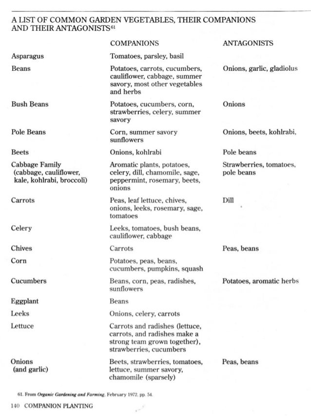 A List Of Common Garden Vegetables And Their Companions