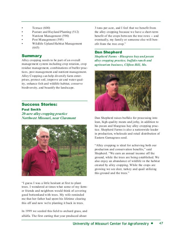 alley cropping in agro forestry university of missouri