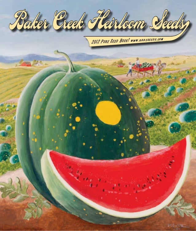 Yard Garden Outdoor Living Rare Broad Bean Crimson Flowered 7 Seeds Heirloom Vegetable Garden Cool Season Plants Seeds Bulbs Yard Garden Outdoor Living Rare Broad Bean Crimson Flowered 7 Seeds Heirloom Vegetable Garden Cool Season Plants Seeds Bulbs
