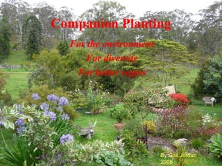 Companion Planting
  For the environment
     For diversity
   For better vegies




                        By Gail Jordan
                        2008
 