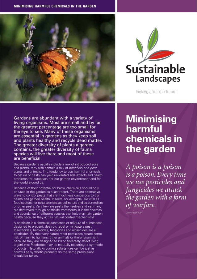 Companion Planting Adelaide Sustainable Landscapes, Australia