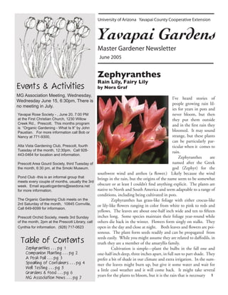 University of Arizona Yavapai County Cooperative Extension



                                                Yavapai Gardens
                                                 Master Gardener Newsletter
                                                  June 2005


                                                Zephyranthes
                                                Rain Lily, Fairy Lily
Events & Activities                             by Nora Graf
MG Association Meeting, Wednesday,
                                                                                               I’ve heard stories of
Wednesday June 15, 6:30pm, There is
                                                                                               people growing rain lil-
no meeting in July.
                                                                                               ies for years in pots and
Yavapai Rose Society - , June 20, 7:00 PM                                                      never bloom, but then
at the First Christian Church, 1230 Willow                                                     they put them outside
Creek Rd., Prescott. This months program                                                       and in the ﬁrst rain they
is “Organic Gardening - What Is It” by John
Paustian. For more information call Bob or                                                     bloomed. It may sound
Nancy at 771-9300,                                                                             strange, but these plants
                                                                                               can be particularly par-
Alta Vista Gardening Club, Prescott, fourth                                                    ticular when it comes to
Tuesday of the month, 12:30pm. Call 928-                                                       rain.
443-0464 for location and information.
                                                                                                   Zephyranthes       are
Prescott Area Gourd Society, third Tuesday of                                                  named after the Greek
the month, 6:30 pm, at the Smoki Museum.                                                       god (Zephyr) for the
                                                southwest wind and anthos (a ﬂower.) Likely because the wind
Pond Club -this is an informal group that       brings in the rain, but the origins of the name seem to be somewhat
meets every couple of months, usually the 3rd
week. Email aquaticgardens@esedona.net          obscure or at least I couldn’t ﬁnd anything explicit. The plants are
for more information.                           native to North and South America and seem adaptable to a range of
                                                conditions, including being cultivated in pots.
The Organic Gardening Club meets on the                  Zephyranthes has grass-like foliage with either crocus-like
2rd Saturday of the month, 10845 Cornville,     or lily-like ﬂowers ranging in color from white to pink to reds and
Call 649-6099 for informaion.
                                                yellows. The leaves are about one-half inch wide and ten to ﬁfteen
Prescott Orchid Society, meets 3rd Sunday       inches long. Some species maintain their foliage year-round while
of the month, 2pm at the Prescott Library, call others die back in the winter. Flowers form singly on stalks. They
Cynthia for information. (928) 717-0623         open in the day and close at night. Both leaves and ﬂowers are poi-
                                                sonous. The plant form seeds readily and can be propagated from
                                                seeds easily. While you might assume they are related to daffodils, in
 Table of Contents                              truth they are a member of the amaryllis family.
     Zephyranthes . . . pg 1                             Cultivation is simple—plant the bulbs in the fall one and
     Companion Planting . . . pg 2              one-half inch deep, three inches apart, in full sun to part shade. They
     A Posh Pail . . . pg 3                     prefer a bit of shade in our climate and extra irrigation. In the sum-
     Speaking of Containers . . . pg 4          mer the leaves might burn up, but give it some water and wait for
     Well Testing . . . pg 5
                                                a little cool weather and it will come back. It might take several
     Grardens & Food . . . pg 6
                                                years for the plants to bloom, but it is the rain that is necessary 1
    MG Association News . . . pg 7
 